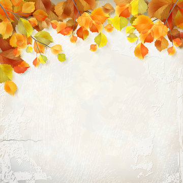 Vector autumn leaves plaster wall background