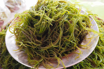 Fresh local seaweed (Gracilaria fisferi) in Thailand market