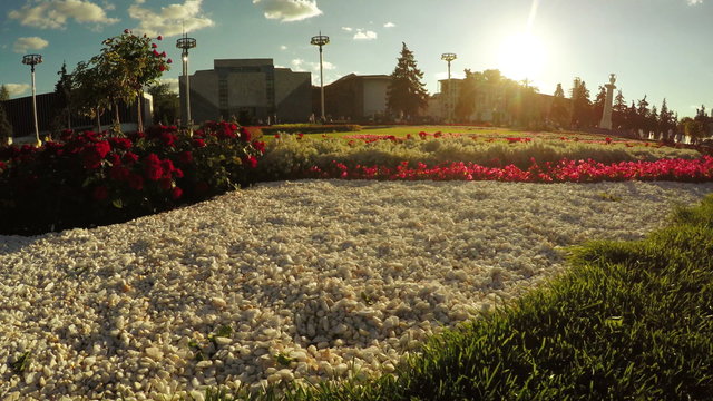 Flower Garden in city park