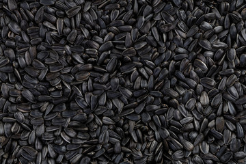 Sunflower seeds background