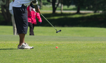 Male senior golf player putting on green on afternoon time.