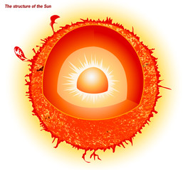 The structure of the Sun vector nature background