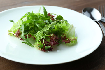 Plate of fresh mixed green salad on wooden table close up