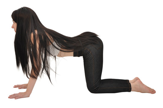 Long hair brunette woman in yoga position marjaryasana-bitilasana, or cat-cow pose. Isolated on white.
