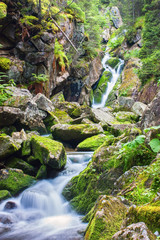 Obrazy na Szkle  Piękny wodospad w bujnym zielonym lesie