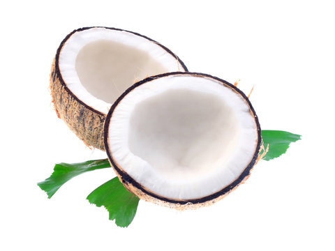Coconuts with leaves on a white background