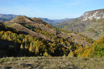 Naklejka premium Autumn fall foliage