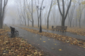 Cold, damp and foggy morning in November, in the boulevard