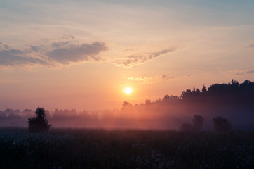 The fog in first rays. Russian nature