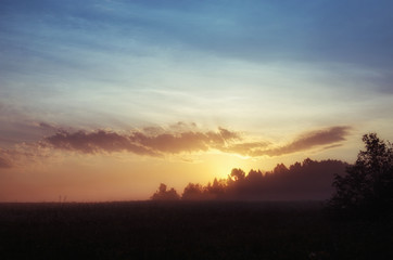 The fog in first rays. Russian nature