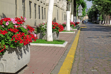 Fototapeta na wymiar City street with flower beds
