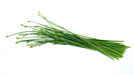 Garlic chives or Ku Chai isolated on white background
