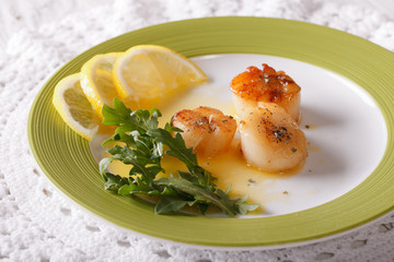 delicious fried scallops with sauce and lemon on a plate. horizontal
