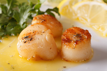 Grilled scallops with sauce on a plate macro. horizontal

