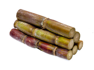 Sugar cane isolated on white background