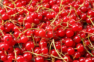 Fresh red currant background