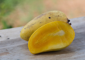 Mango Slice half