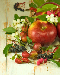  red apples and berries on a wooden table closeup