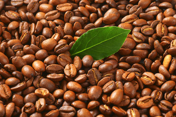 Roasted coffee beans
