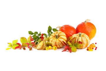 Herbst - Freisteller - Dekoration mit Kürbis, Beeren und buntem Herbstlaub