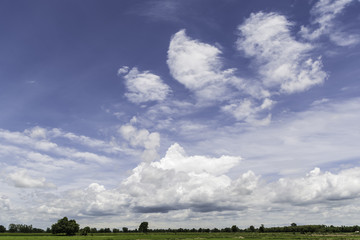 Obraz premium blue sky photography