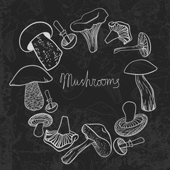 Frame of different hand drawn mushrooms on chalkboard. Can be