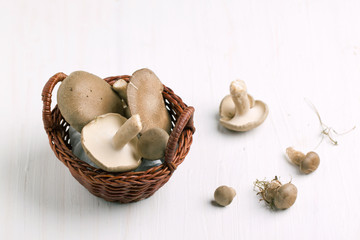 Basket with mushrooms