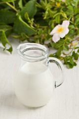 Obraz na płótnie Canvas Jug of milk