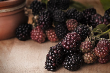 Blackberries on wooden background