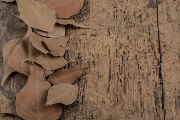 autumn template with dried leafs on wooden surface