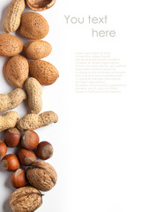 Assorted nuts almond, hazelnut, walnut and peanut