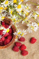 Obraz na płótnie Canvas Fresh ripe raspberries and camomile flowers