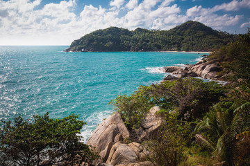 The rocky shore or beach