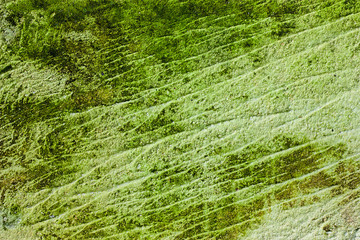  image of the Stain on the wall