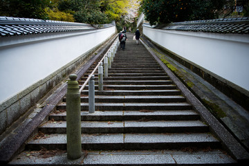 京都の寺の階段