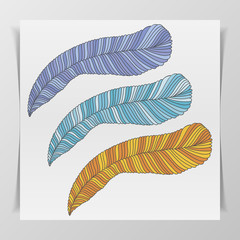 Set of three hand-drawn graphic Feathers