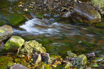 Fototapeta na wymiar Autumn Creek Rapids Detail, Belgium