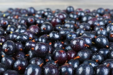 Heap of wild black currant close up