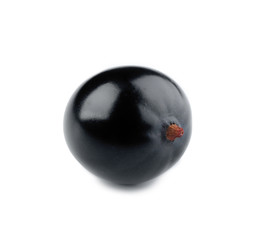 Heap of wild black currant isolated on white