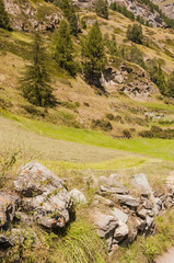 Zermatt, Bergdorf, Dorf, Felsen, Alpen, Bergwiesen, Heuernte, Bergbauer, Ernte, Steinmauer, Schweizer Alpen, Walliser Berge, Wallis, Sommer, Schweiz