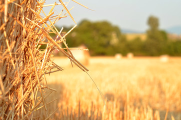 Detail of straw bale at sunset