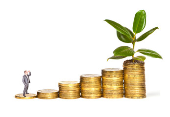 businessman standing on a stack of coins with growing ficus 