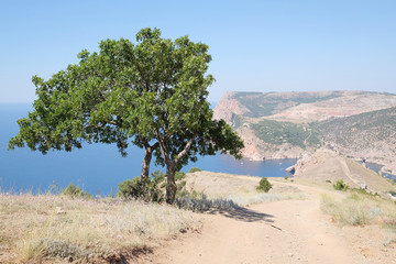 Landscape with the image of Crimean Mountains and Black Sea