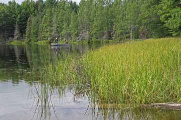 Wildnerness Fishing Experience