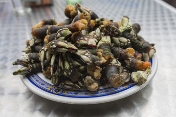 Ración de percebes.
