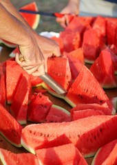 Man cutting thick slices of Ripe Red Watermelon for outdoor picn