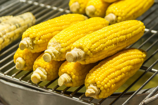 roasted corn
