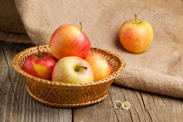 Still-life with apples
