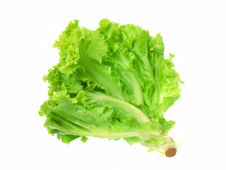 Fresh lettuce isolated on white background