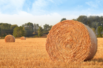 Field after harvest with straw bales at sunset